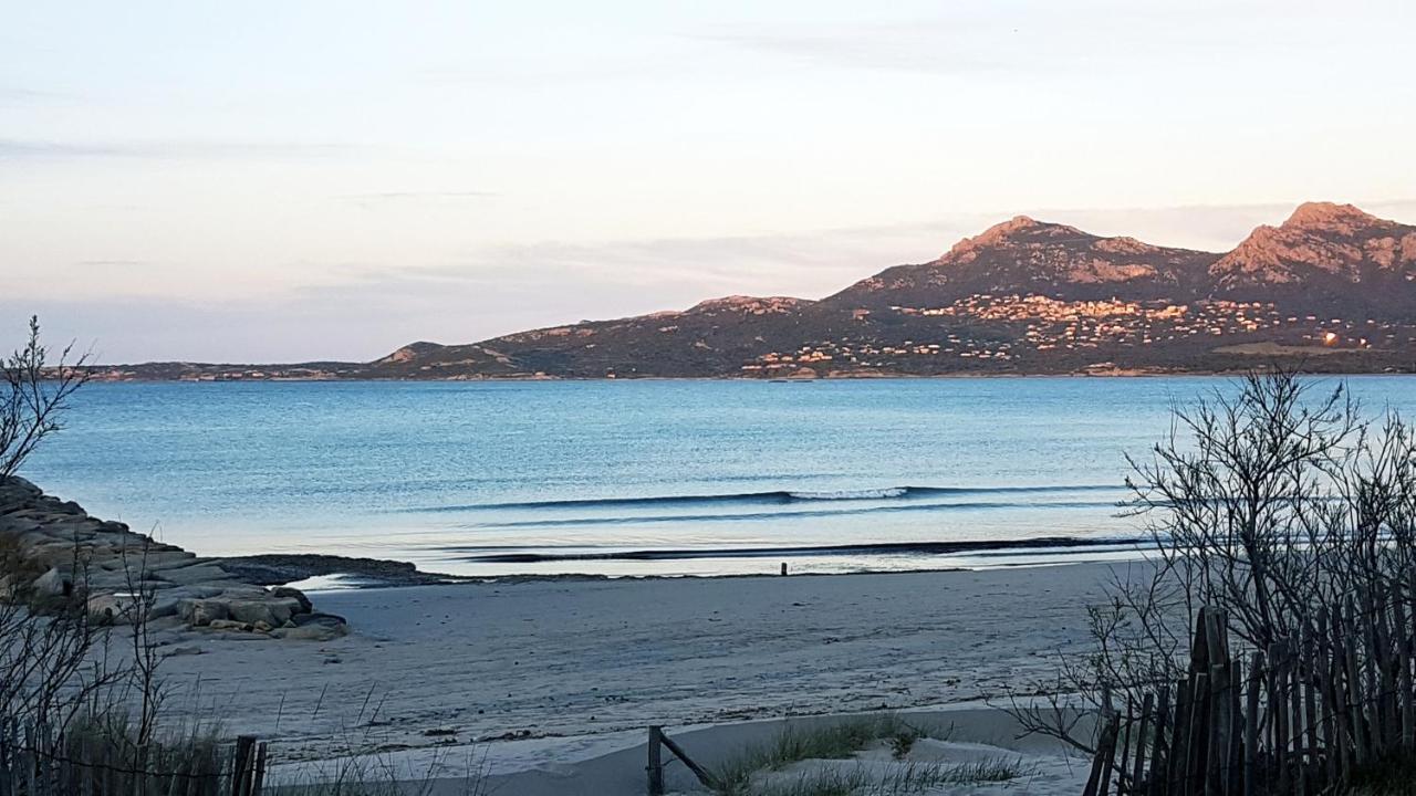 Studio proche de la mer Calvi  Eksteriør bilde