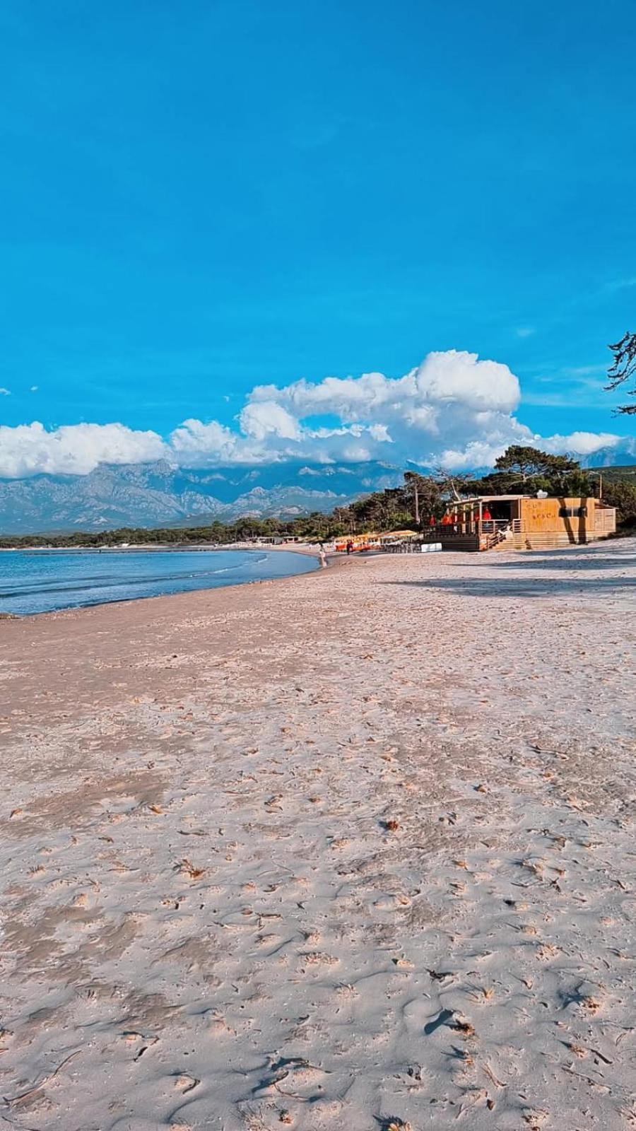 Studio proche de la mer Calvi  Eksteriør bilde